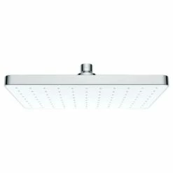 Wenko Pommeau De Douche Cleaning II