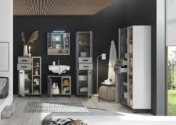 Armoire De Toilette Ariana 13 Armoire De Toilette Ariana -WENKO Boutique 1000378166 230322 021 MOOD DETAILS P000000001000378166 mood