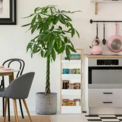 Etagère De Salle De Bain 4 Supports 11 Etagère De Salle De Bain 4 Supports -WENKO Boutique 930f44fed5c346ebb3709da0b1f11cc0